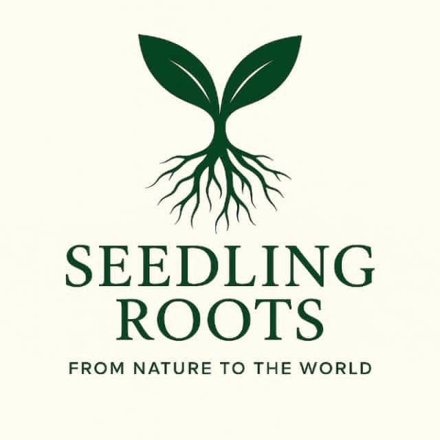 Seedling Roots Logo